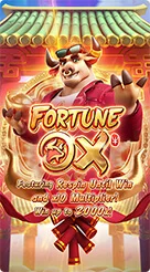 pp123 · Fortune Ox